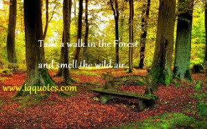 forest quotes (1)