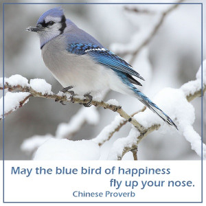 May the blue bird of happiness fly up your nose.