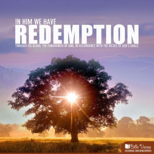 In Him we have Redemption through his blood, the forgiveness of sin ...