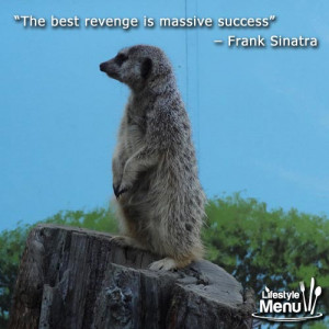 ... standing meerkat with the quote: The best revenge is a massive success