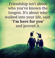 Friendship isn't about who you have known the longest. It's about who ...
