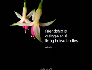 Found on freethemes4.com