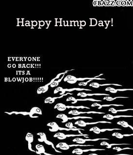 humpday quotes humpday pictures hump day pictures for fb humpday