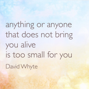 ... that does not bring you alive is too small for you (David Whyte