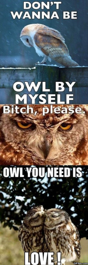 Owl-by-myself.jpg