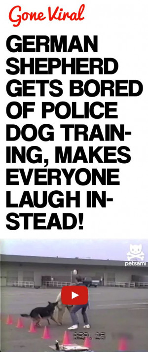 ... Dogs, German Shepherd, Police Dogs, Animal, Funnies Police, Dogs Bones