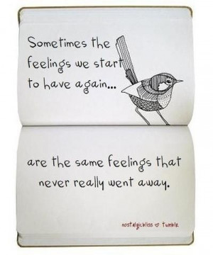 ... .com/sometimes-the-feelings-we-start-to-have-again-birds-quote