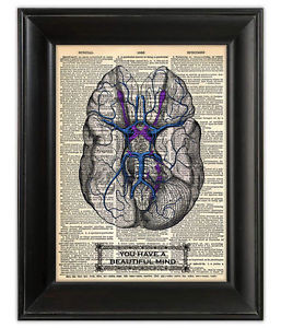 YOU-HAVE-A-BEAUTIFUL-MIND-BRAIN-Anatomy-Dictionary-Art-Print-Antique ...