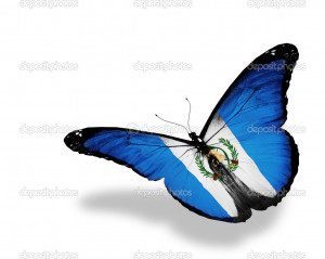 Guatemala flag butterfly flying, isolated on white background - Stock ...