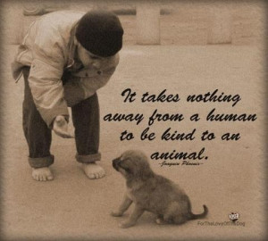 kind to an animal.Animal Journals, Dogs Quotes, Animal Right, Animal ...