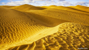 Il Deserto del Sahara Africa