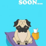Related Pictures pug dog get well soon card by avanti pet humour ...