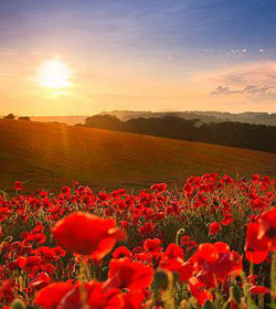 Anzac day in Australia is the anniversary of the first major military ...