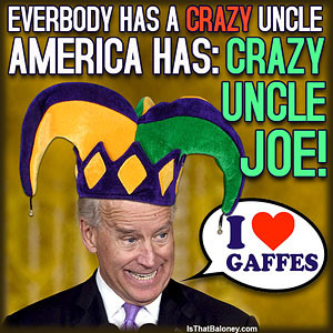 ... Vs Joe Biden Vice Presidential Debate – How Many Gaffes From Biden