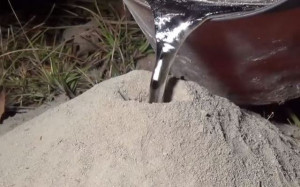 The Coolest New Trend In Art: Aluminum Anthill Casting