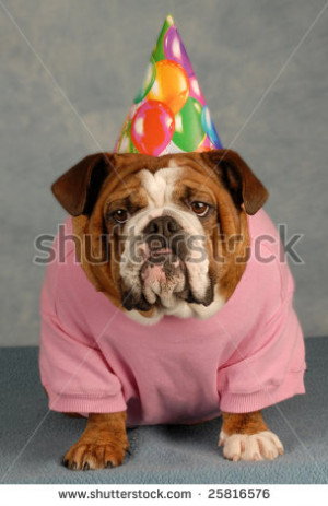 Stock Photo Birthday Dog
