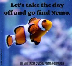 Find nemo quote via www.Facebook.com/AndNowLaugh