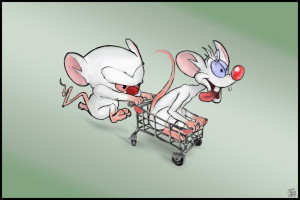 Pinky And The Brain Prumen