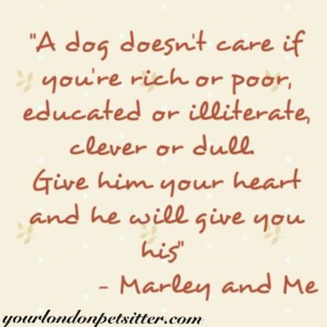 Marley and Me Dog Quotes