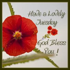 god bless you more tuesday quotes fantastic quotes daily greeting ...