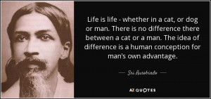 whether in a cat, or dog or man. There is no difference there between ...