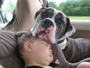 Baby And Dog Snuggle - Image