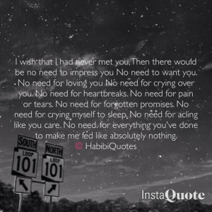 wish i never met you quotes