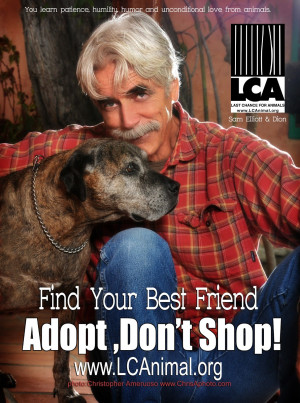 ... week but with a great message from a great guy the latest adopt don