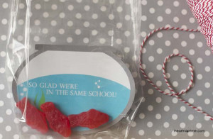 ... Swedish Fish you could use, if your school won’t allow opened