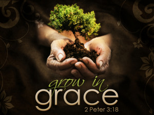 ... in grace when he encouraged his readers to grow in the grace and
