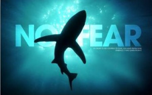 These exclusive wood mounted wall decorations have a sleek reverse ...