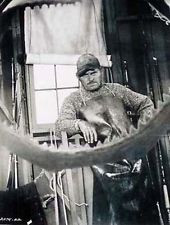 Details about Jaws 1975 PG thriller shark movie, new DVD Roy Scheider ...