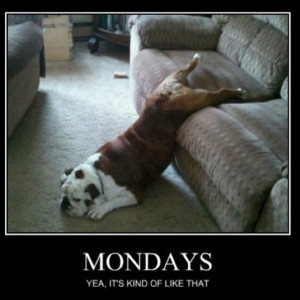 Mondays, ugh!