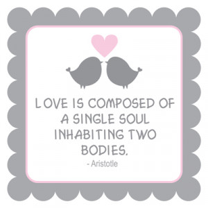 Love is composed of a single soul inhabiting two bodies.”