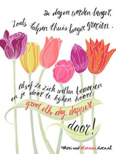 ... -de-tulp #bloemlezing #bloemen #tulp #tulip #ode #flowers #poetry