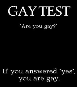 gay test, are you gay, if you answered yes, you are gay