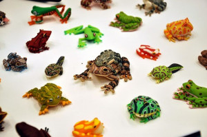 frog,frogs,toad,toads-9df56316997af65da6f3c364822a33ec_h.jpg
