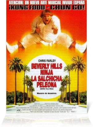 Name : Beverly Hills Ninja (1997) Dvdrip xvid axxo