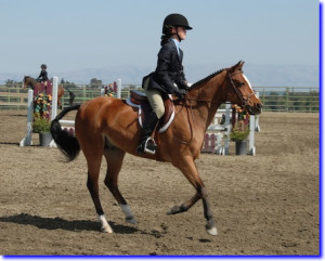 ... Horse Riding Lessons, Horseback riding bay area, Horseback Riding