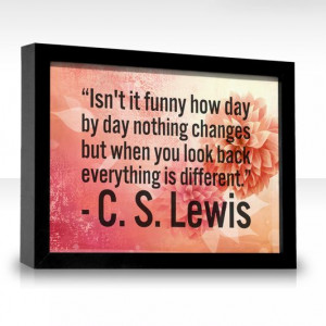 ... changes but when you look back everything is different. -C.S. Lewis