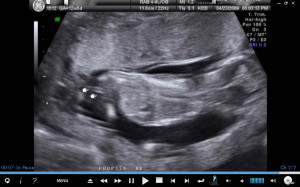 Funny Quotes Contact Dmca...