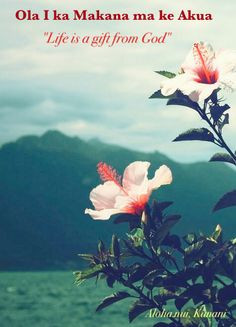 hawaiian saying more hawaiian proverbs hawaiian sayings 4 1