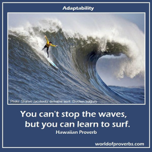 World of Proverbs - Famous Quotes: You can't stop the waves, but you ...