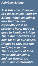 PET LOSS INFORMATION