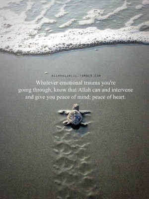 Home Quotes Photoquotes FunFacts Quran Hadith Text Quotes Meme