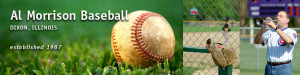 Al Morrison Memorial Baseball, Baseball, Run, Field