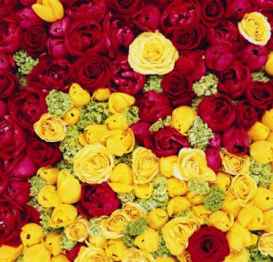 yellow rose(Digital Vision./Digital Vision/Getty Images)