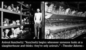 THE ANIMALS HOLOCAUST