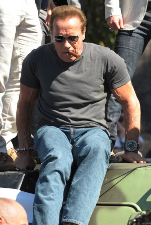 arnold schwarzenegger expendables 3