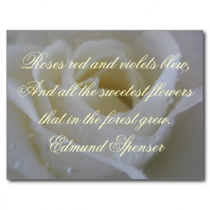 White Rose Edmund Spenser Quote Postcard